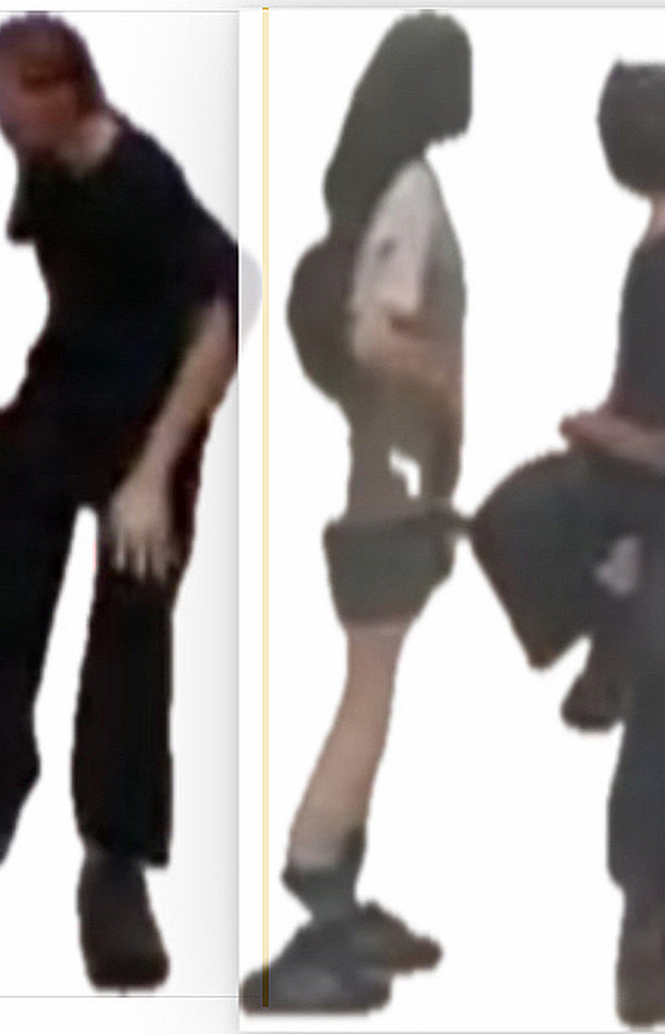 Image of Still House Plants