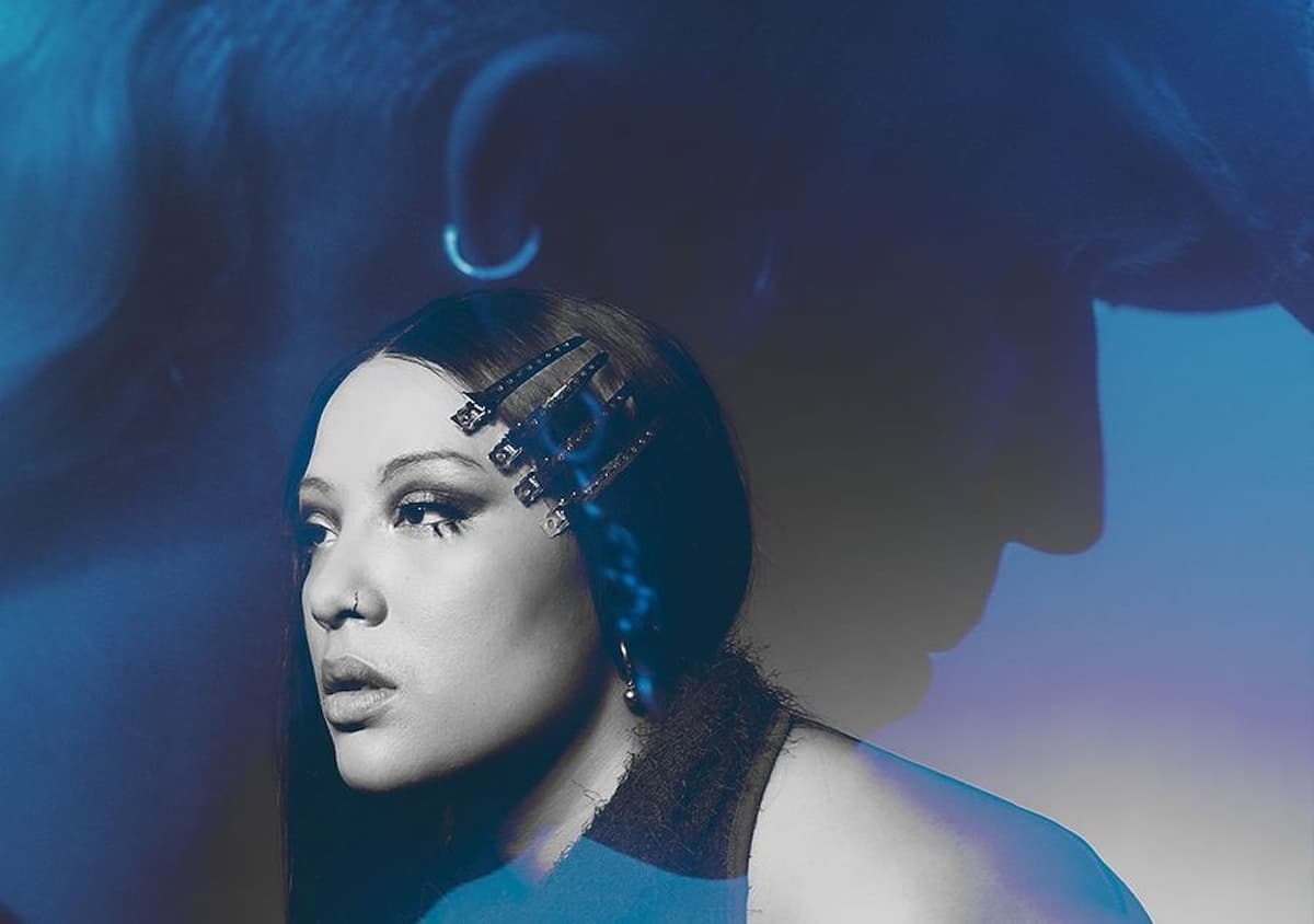 Image of androgienia b2b softchaos