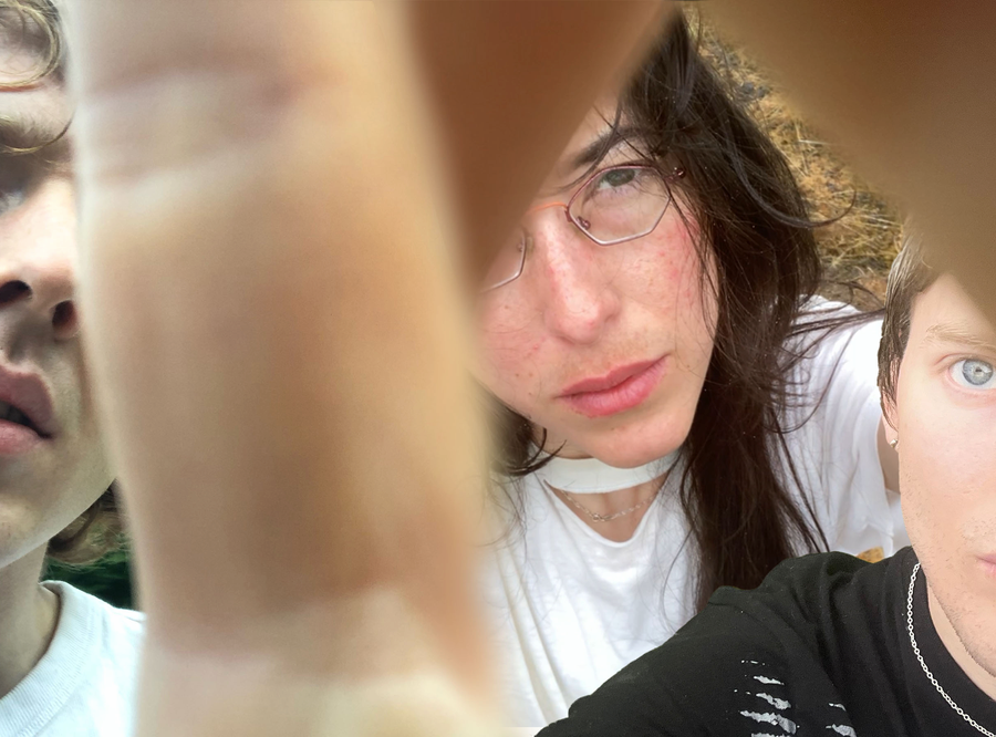 Image of Still House Plants