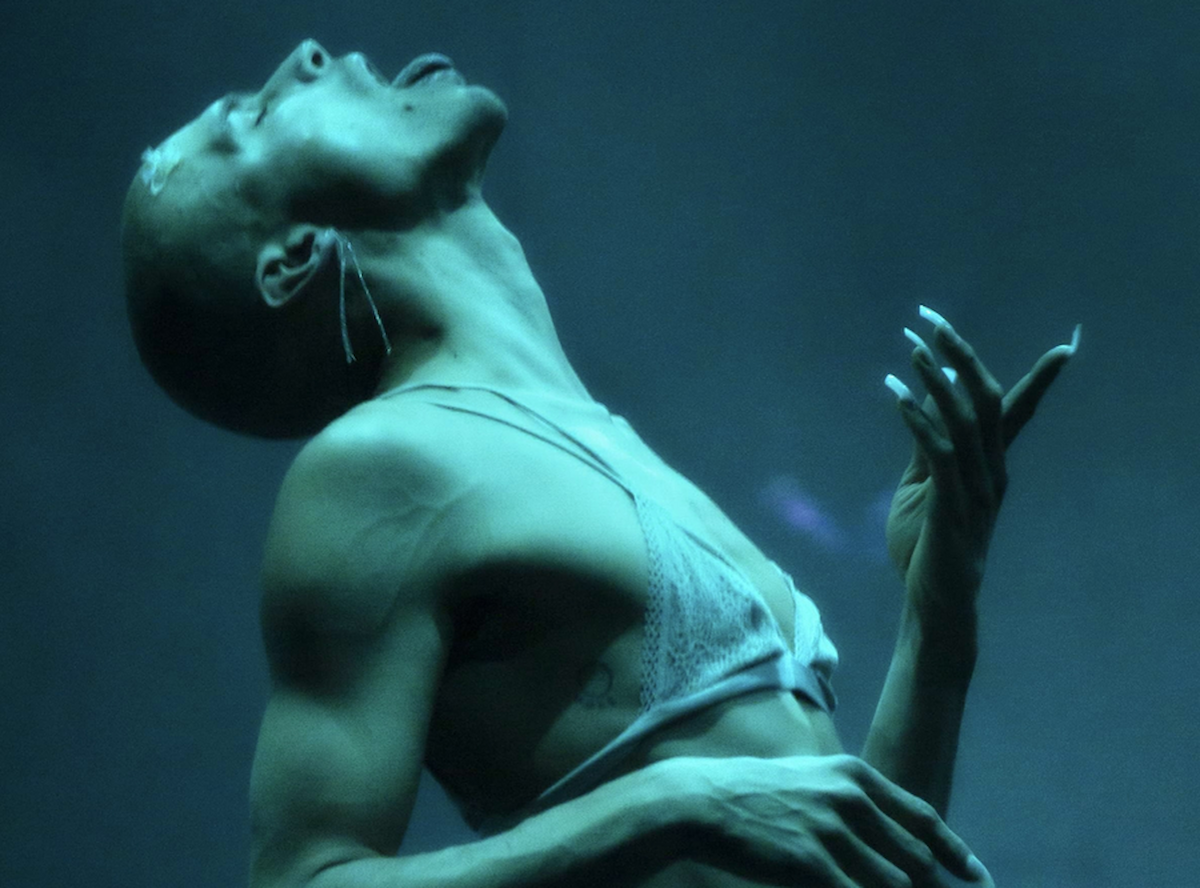 Image of DIVAS (Rafał Pierzyński)